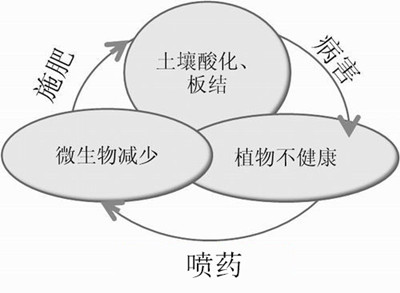 化肥不等于科學，請客觀評判！